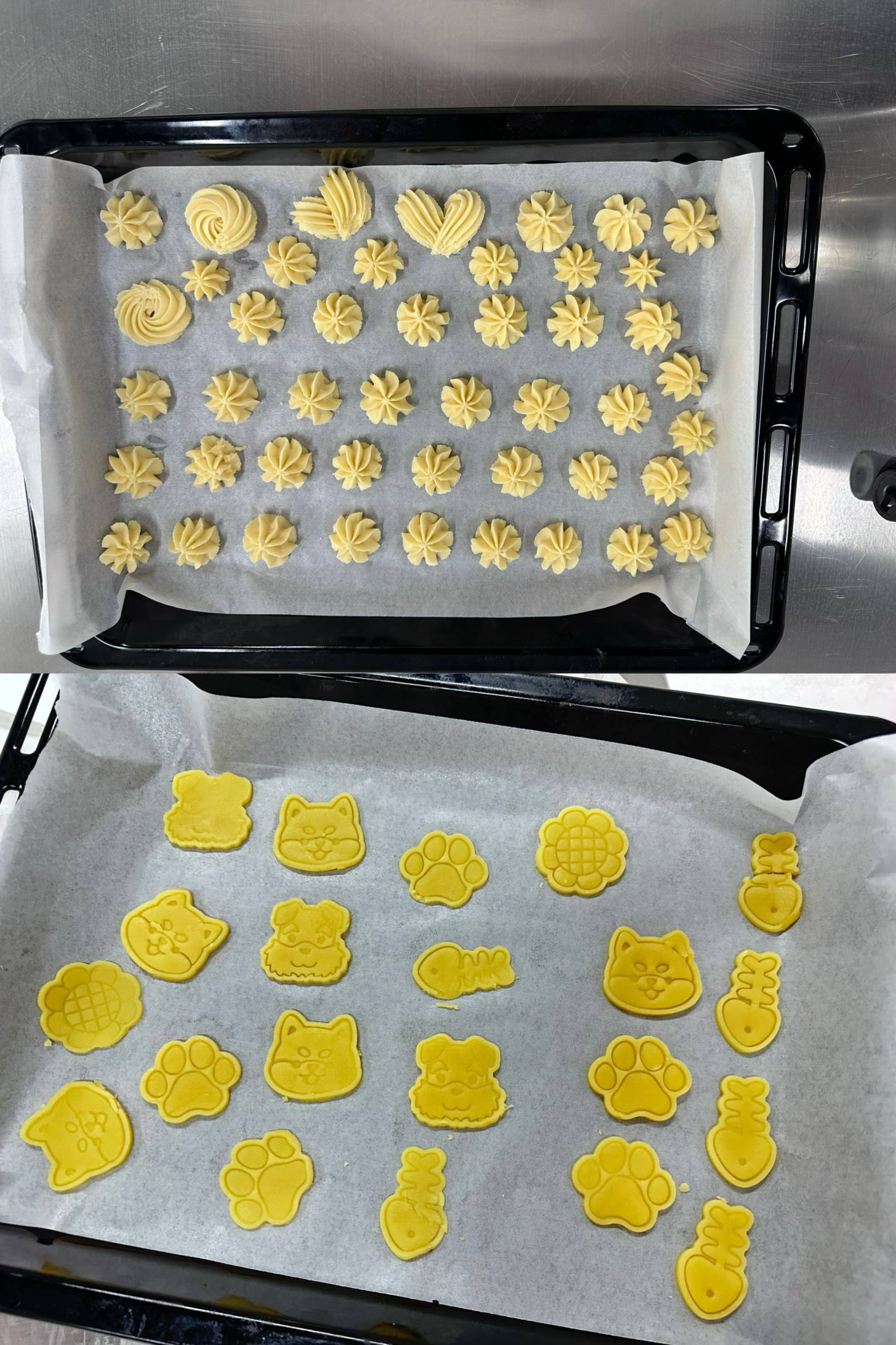 授课作品.JPG